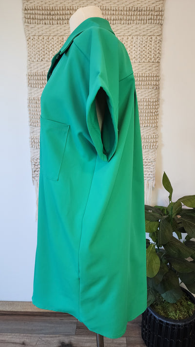 CARRIGAN dress in green